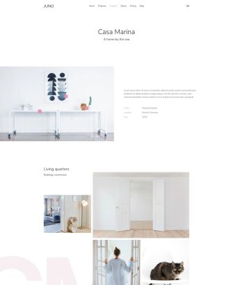 Projects case study