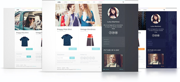 Vida Theme – January 2014 YOOtheme club theme
