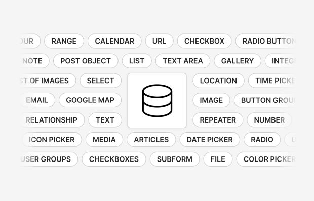 Custom Fields